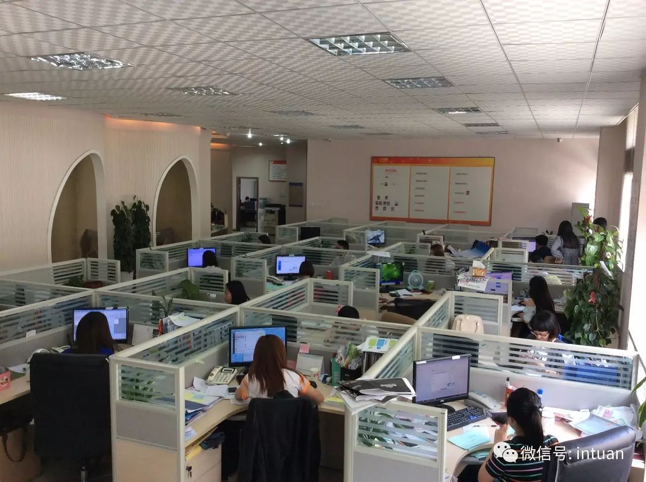 1551335302912159.jpg 0 (4).jpg